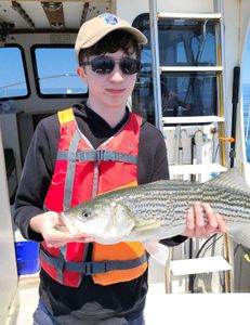 One person fishing in Cape Cod