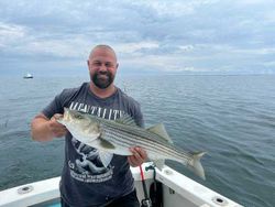 Striped bass caught at Cape Cod