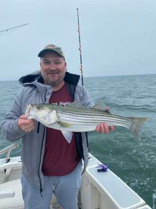 Striped Bass caught while fishing in Cape Cod
