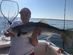 Striped bass caught fishing on Cape Cod