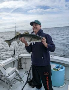 Striped bass caught in Cape Cod