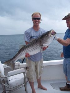 Striped bass caught in Cape Cod
