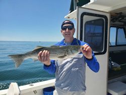 Striped bass catch on Cape Cod
