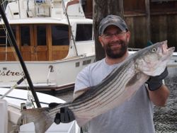 Striped bass caught on fishing trip in Cape Cod