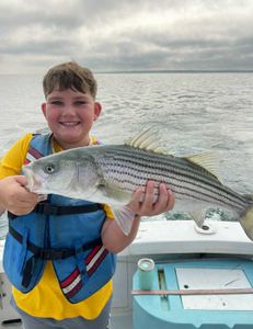 Striped Bass caught on fishing trip at Cape Cod