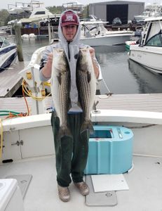 Striped bass caught on fishing trip in Cape Cod