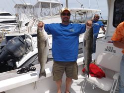 Striped bass fishing in MA