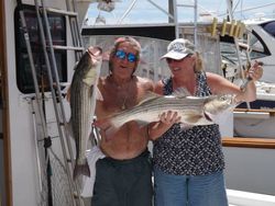 Two striped bass caught while fishing in Cape Cod