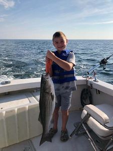 Striped bass fishing in MA