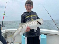 Striped bass caught while fishing in MA