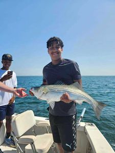 Striped bass caught while fishing in MA