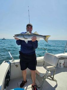 Striped bass caught while fishing in MA