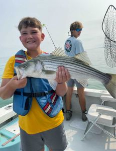 Striped bass fishing in MA