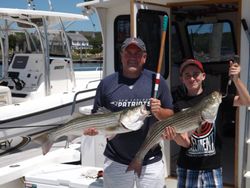 Two striped bass, 22 inches long, caught by two people in Cape Cod