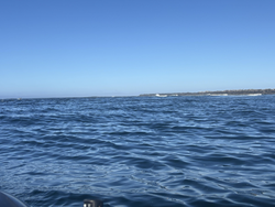 Perfect conditions for trolling and drift fishing. Partly cloudy skies made for an exciting day on the water.