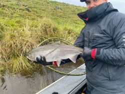 Chinook salmon caught fishing in OR