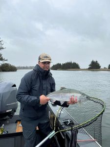 Coho salmon caught in Corvallis