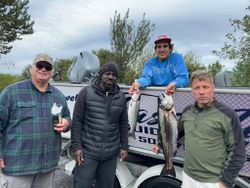 Two Coho Salmon, 18 inches long, caught while fishing in OR