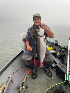 Coho Salmon, 27 inches, caught while fishing in OR