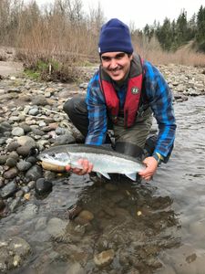Photo of a 15-inch Coho Salmon caught while fishing in OR