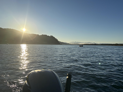 Perfect afternoon for trolling on calm waters. Multiple techniques working well today.