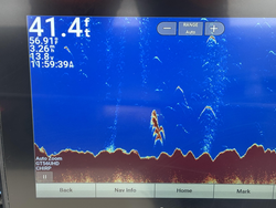 Sonar marking fish in cloudy conditions - perfect setup for trolling and drift fishing.