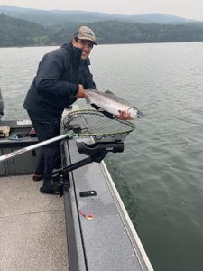 Angler fishing in OR with a great catch