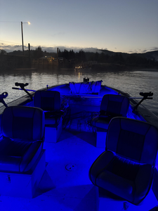 Perfect evening for trolling on calm waters near Corvallis. Blue lights ready for the best fishing adventure.