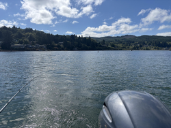 Best setup for trolling and drift fishing on the lake today. Multiple techniques ready to go!