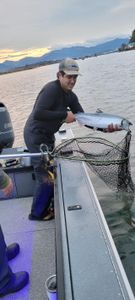 Lone angler fishing in Corvallis