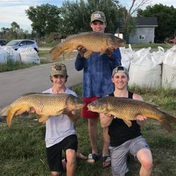 3 grass carp and common carp fishing in MB