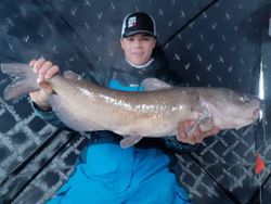 Photograph of a blue catfish caught in MB
