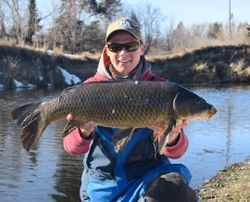 Catching a common carp in MB
