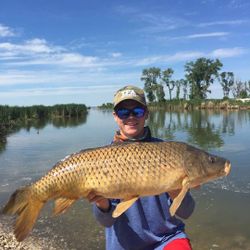 Massive common carp caught by angler in Cranberry Portage