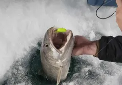 Fishing in MB, best and great