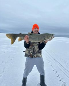 Massive lake trout caught at Cranberry Portage
