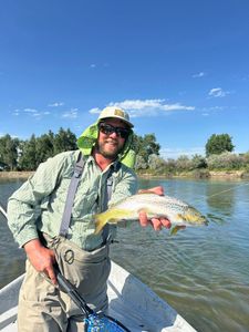 One rainbow trout caught by an angler in Cranberry Portage