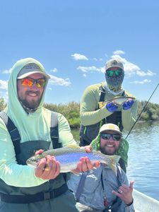 One rainbow trout caught fishing in MB