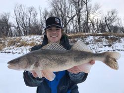 Sauger fish caught in MB