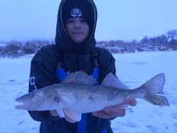 Sauger caught in Cranberry Portage during fishing