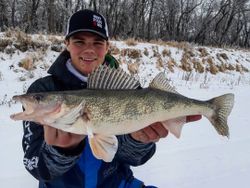 Sauger fish caught in Cranberry Portage