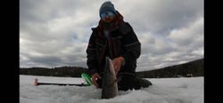Ice Fishing Magic: Beneath the Ice