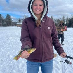 American Yellow Perch fishing in NY