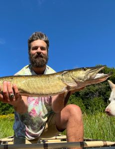 Angler with a 30-inch fish in NY