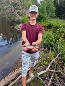 Angler catches a brook trout in NY