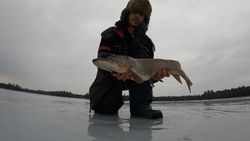 Fishing in NY with a big fish