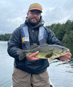 Largemouth bass caught while fishing in NY