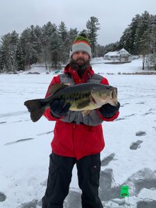 Largemouth Bass caught in NY