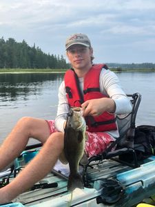 A largemouth bass caught at Saranac Lake while fishing