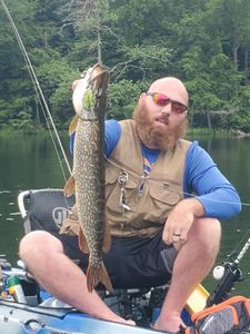 Caught a northern pike fish while fishing in NY